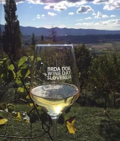 Beautiful Dama * Nova Gorica